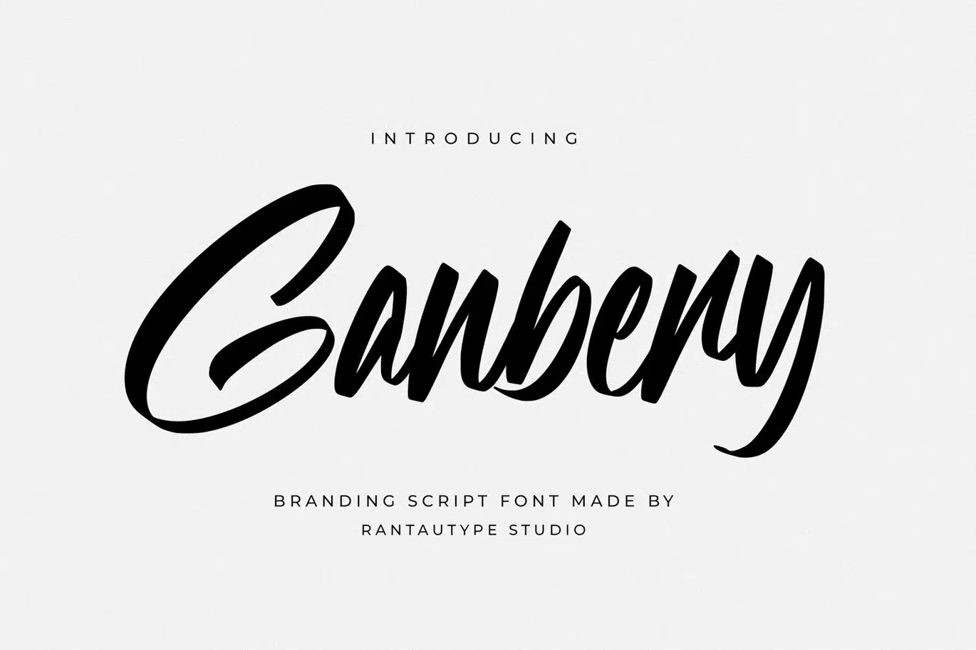 Ganbery Branding Script Font font preview