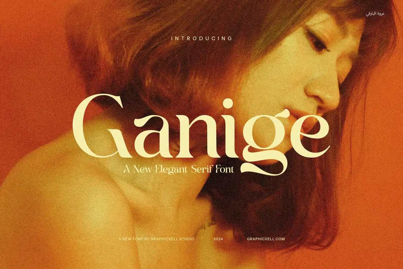 Ganige Elegant Serif Font font preview