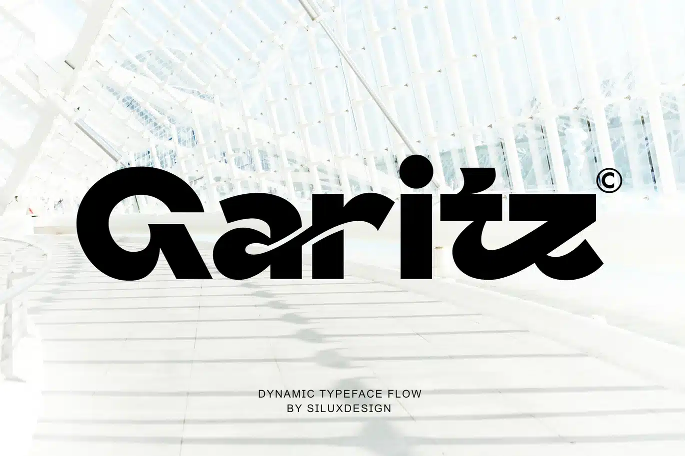 Garitz – Dynamic Typeface Flow Font font preview