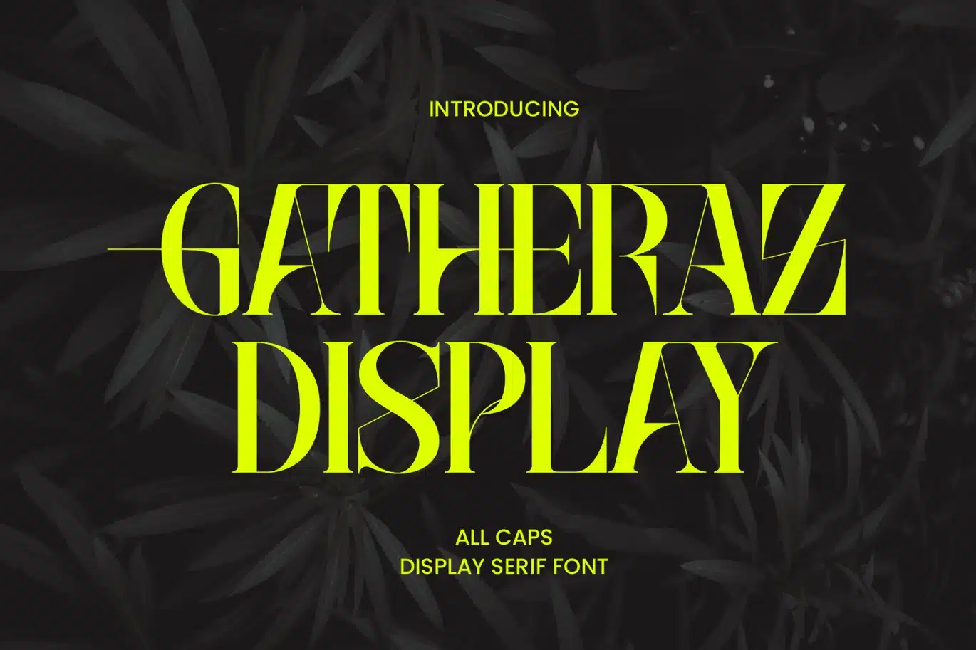 Gatheraz Luxury Logo Font font preview