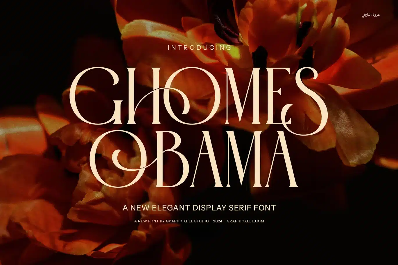 Ghomes Obama Serif Font font preview