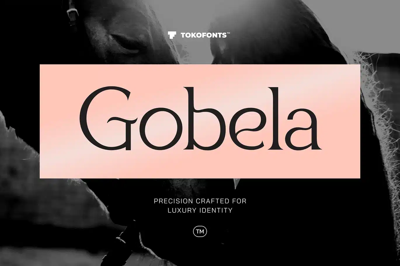Gobela – Logo Font font preview
