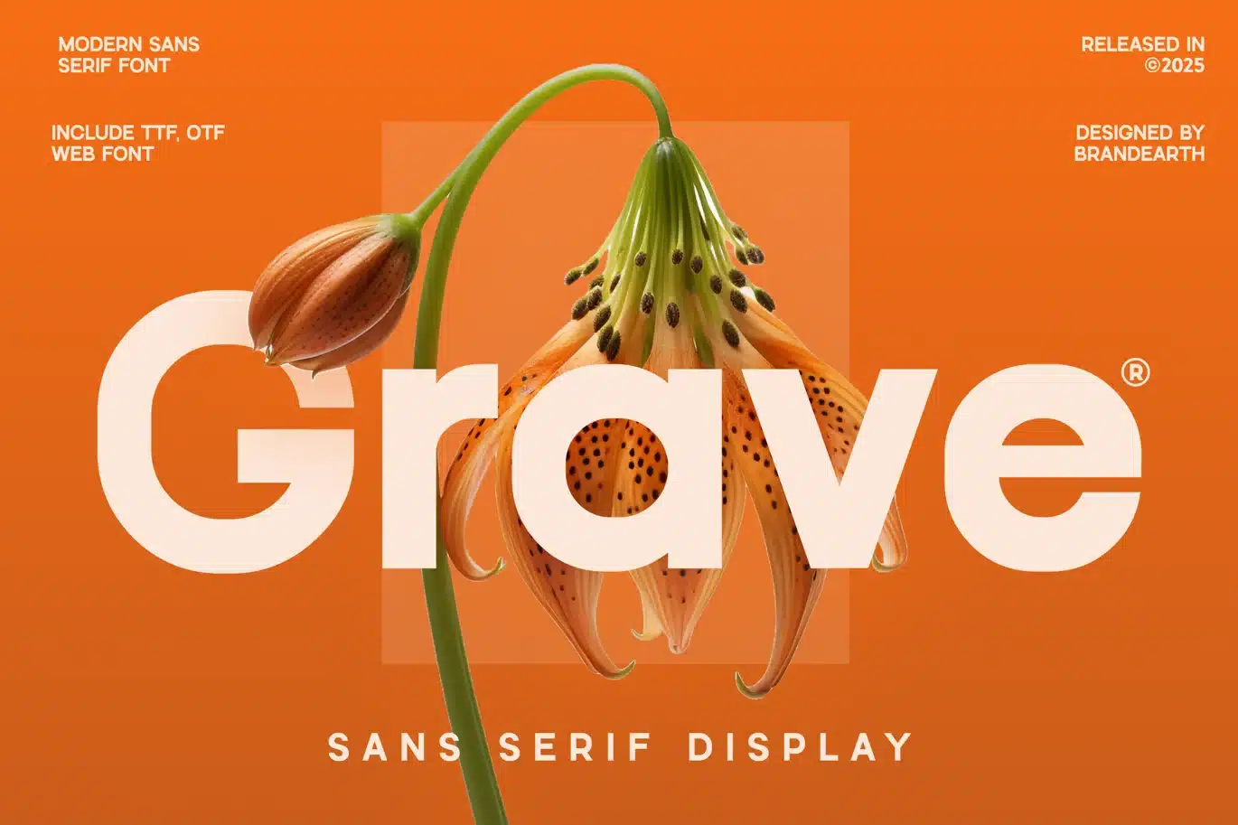 Grave Modern Sans Serif Font font preview