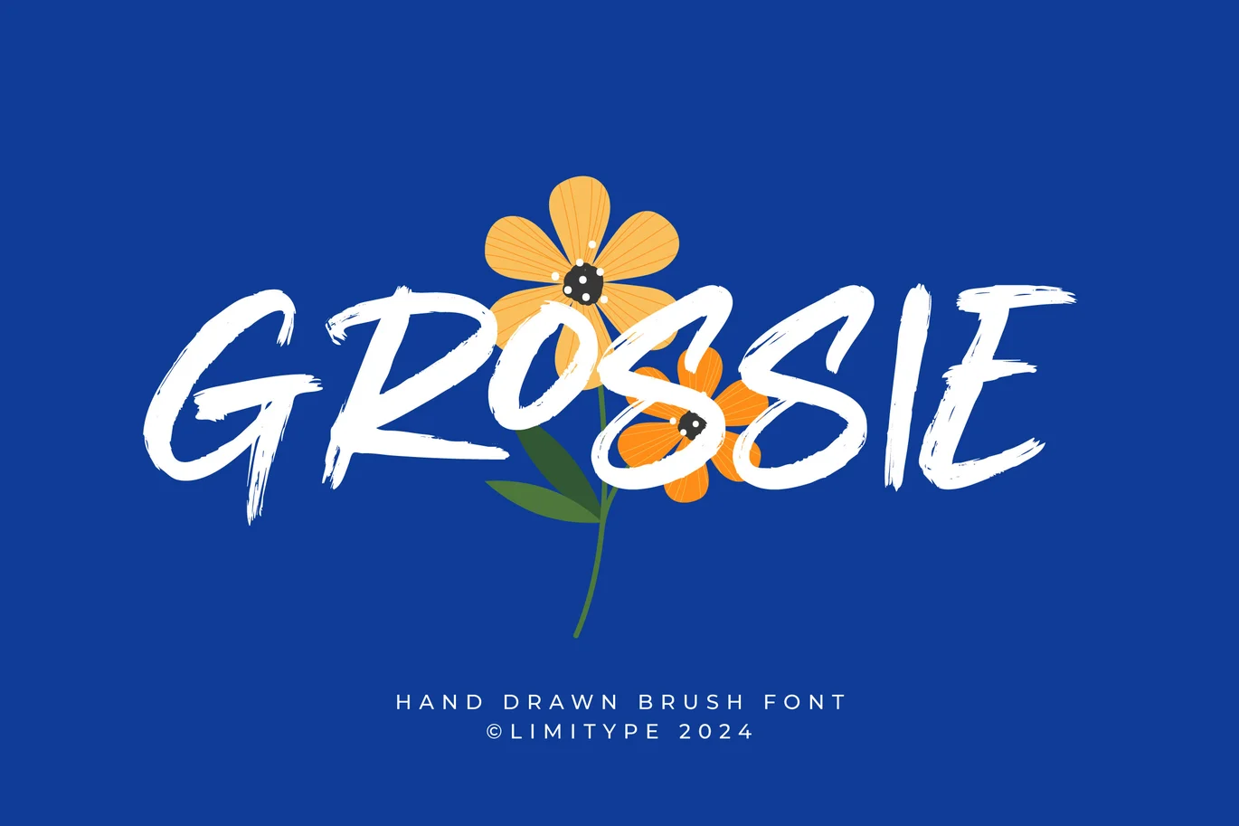 Grossie – Hand drawn brush Font font preview