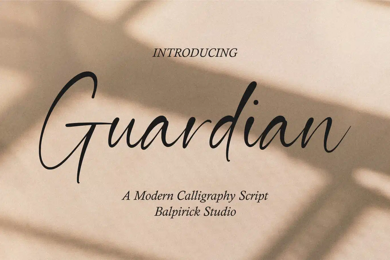 Guardian – Modern Calligraphy Logo Font font preview