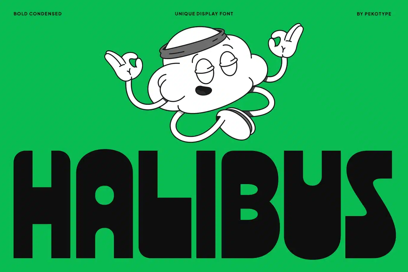 Halibus – Bold Logo Display Font font preview