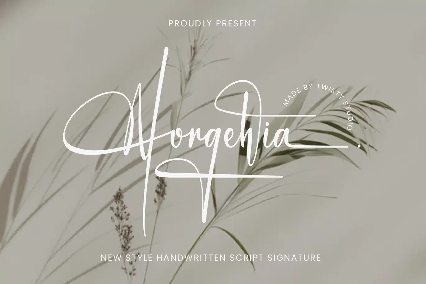 Handwritteen Script Signature Font – Norgehia font preview