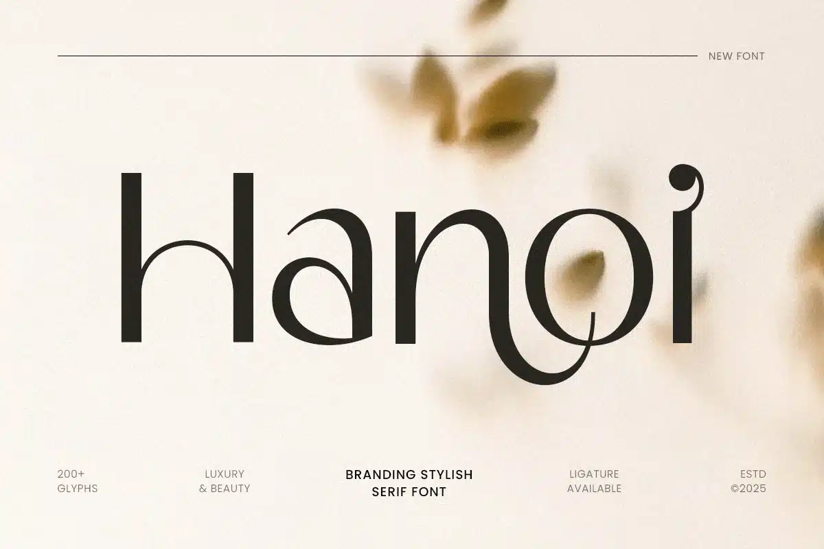 Hanoi – Branding Stylish Sans Serif Font font preview