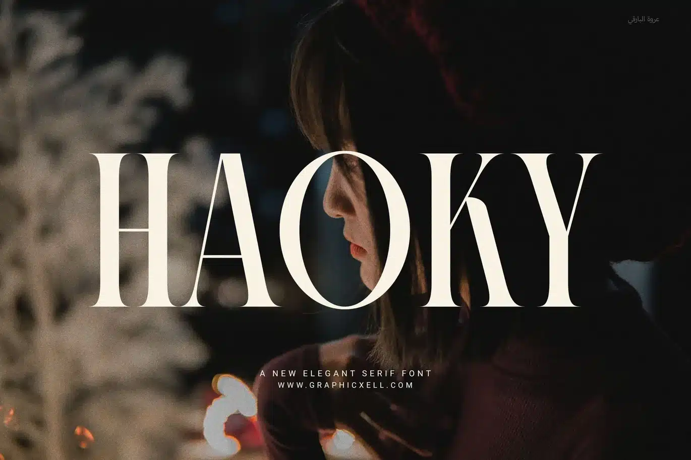 Haoky Elegant Serif Font font preview