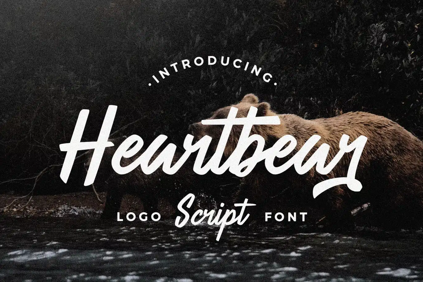 Heartbear – Logo Script Font font preview
