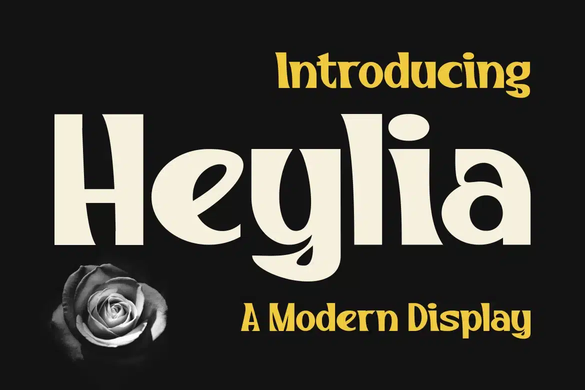 Heylia – A Modern Display Font font preview
