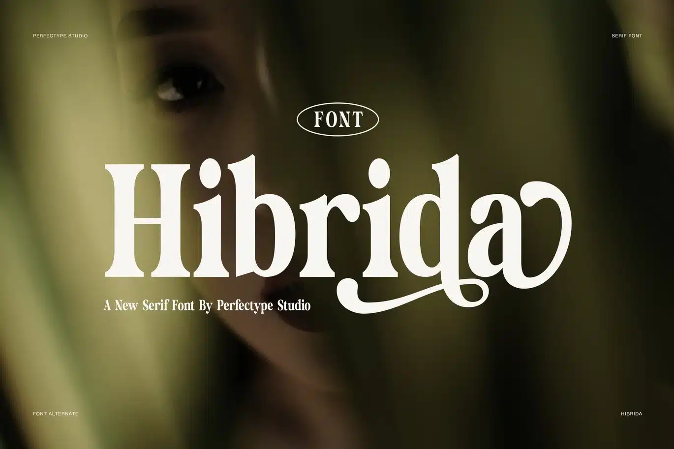 Hibrida Bold Serif Font font preview