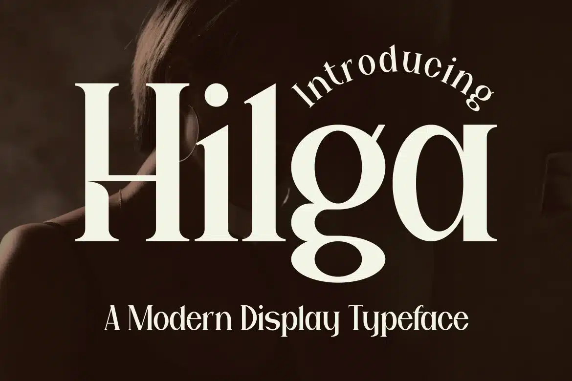 Hilga – A Modern Display Font font preview