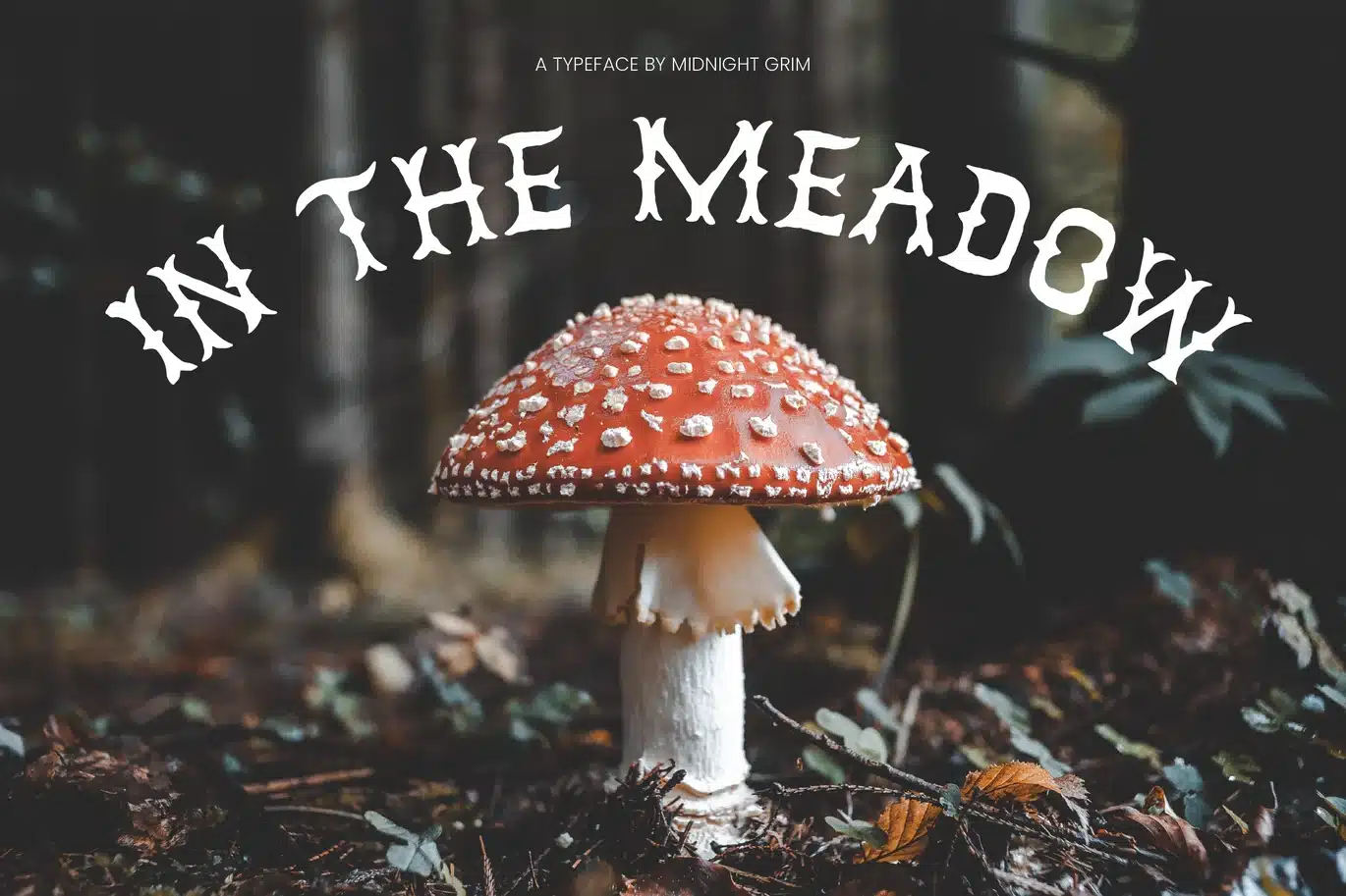 In the Meadow Font font preview