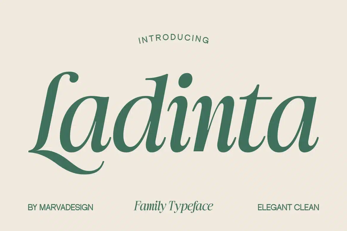 Ladinta – Family Serif Font font preview