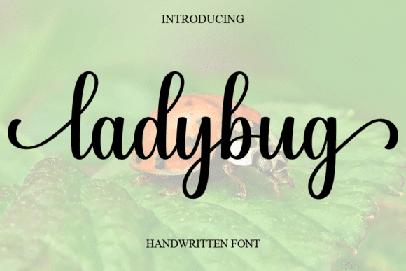 Ladybug Font font preview