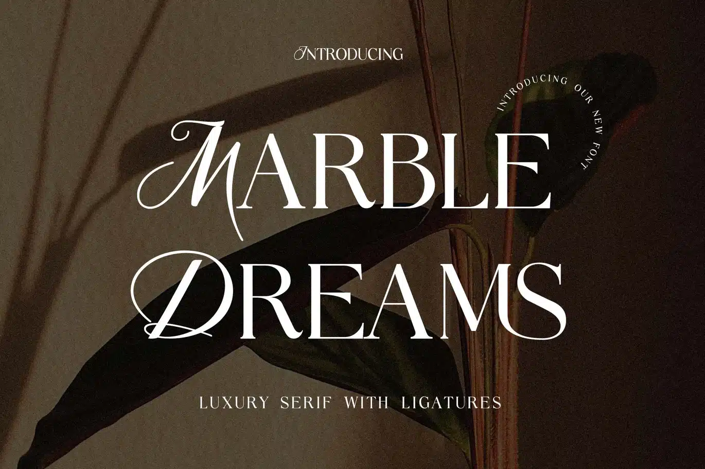 Marble Dreams Luxury Serif Font font preview