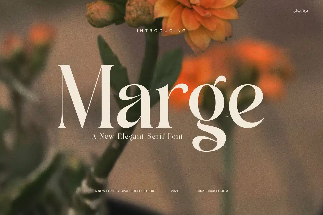 Marge – Elegant Serif Font font preview