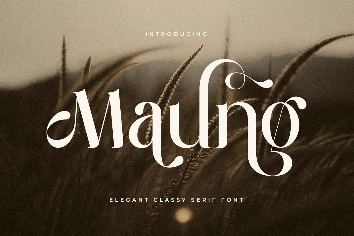 Maung – Elegant Classy Serif Font font preview