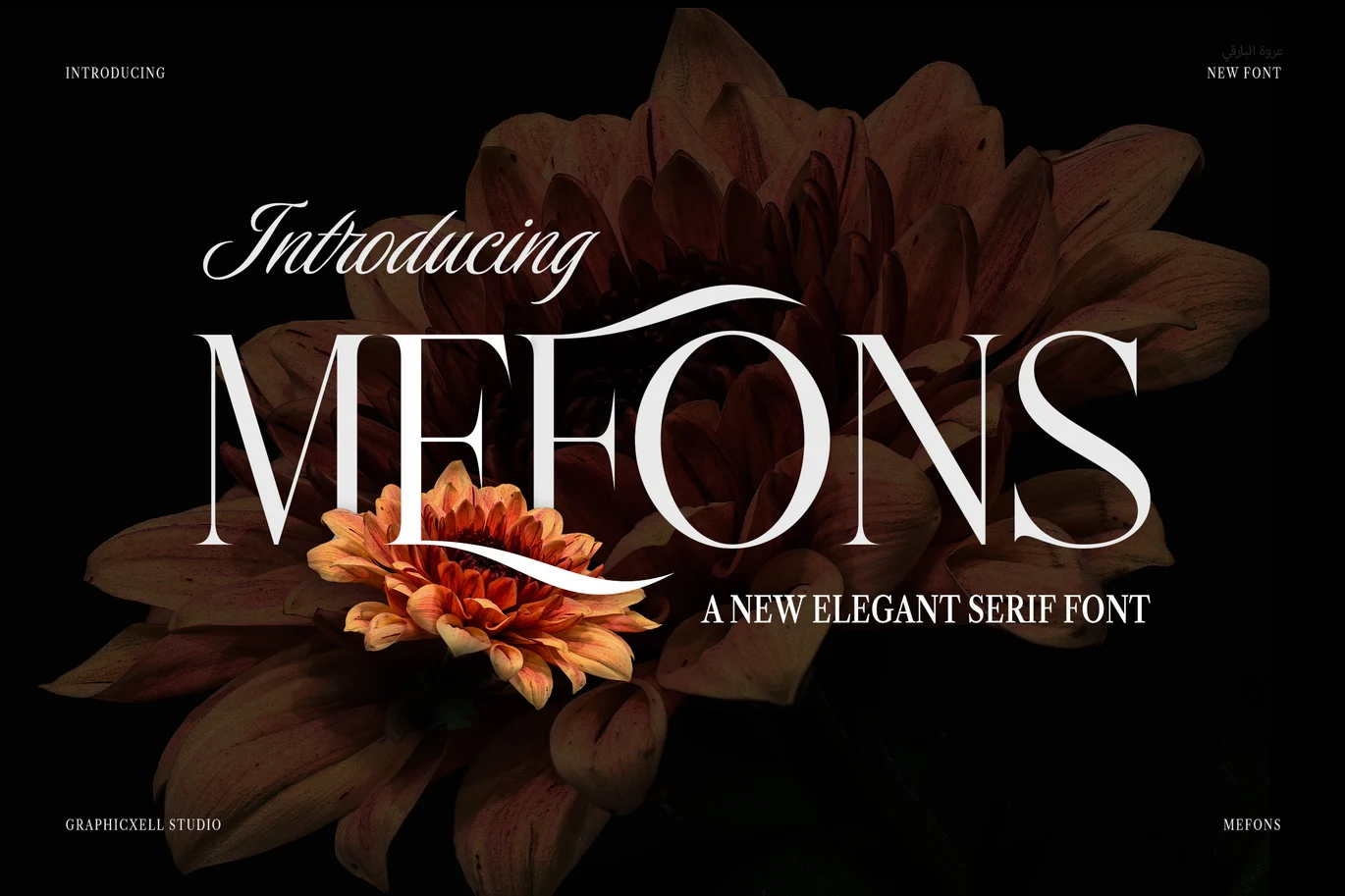 Mefons Elegant Serif Font font preview