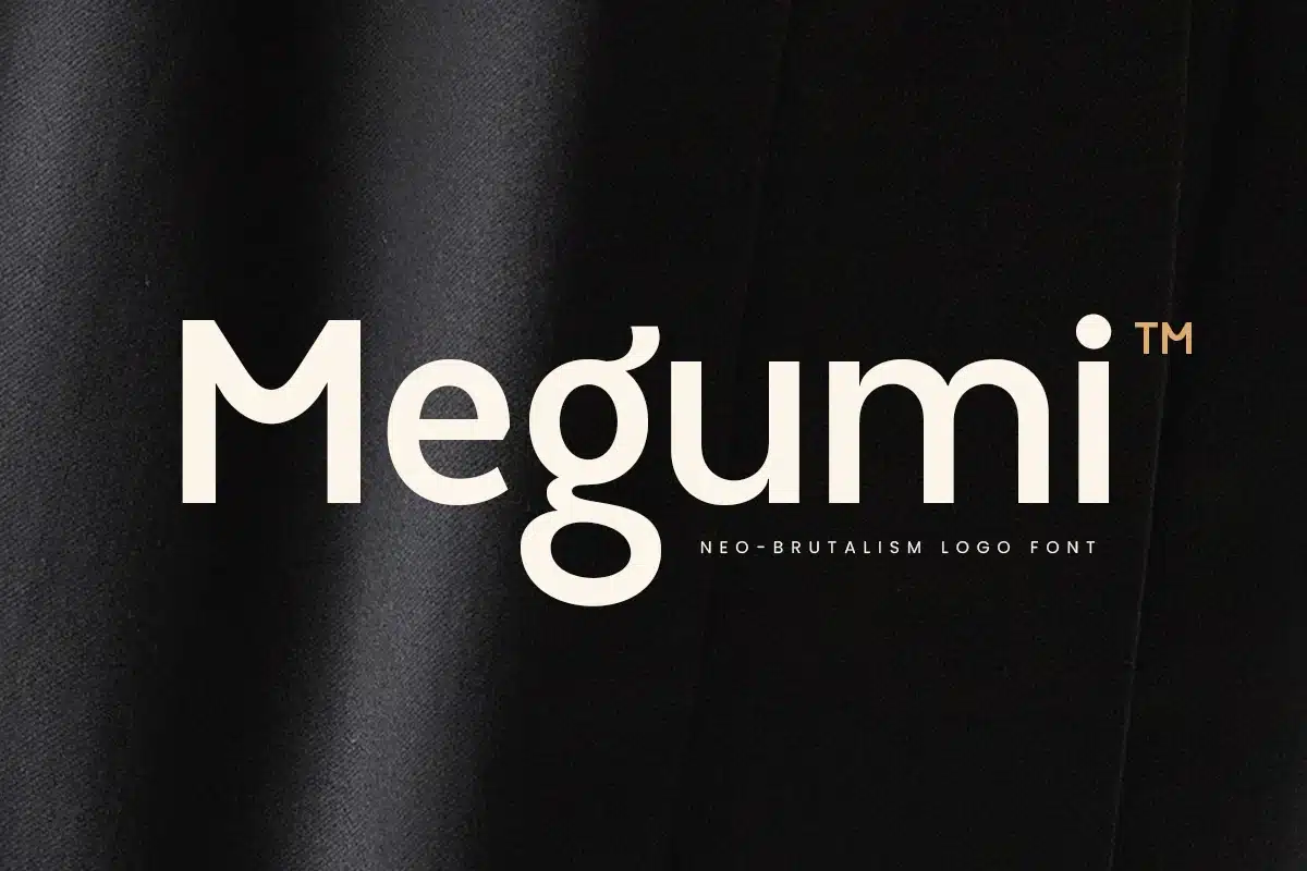 Megumi – Neo Brutalism Logo Font + Webfont font preview