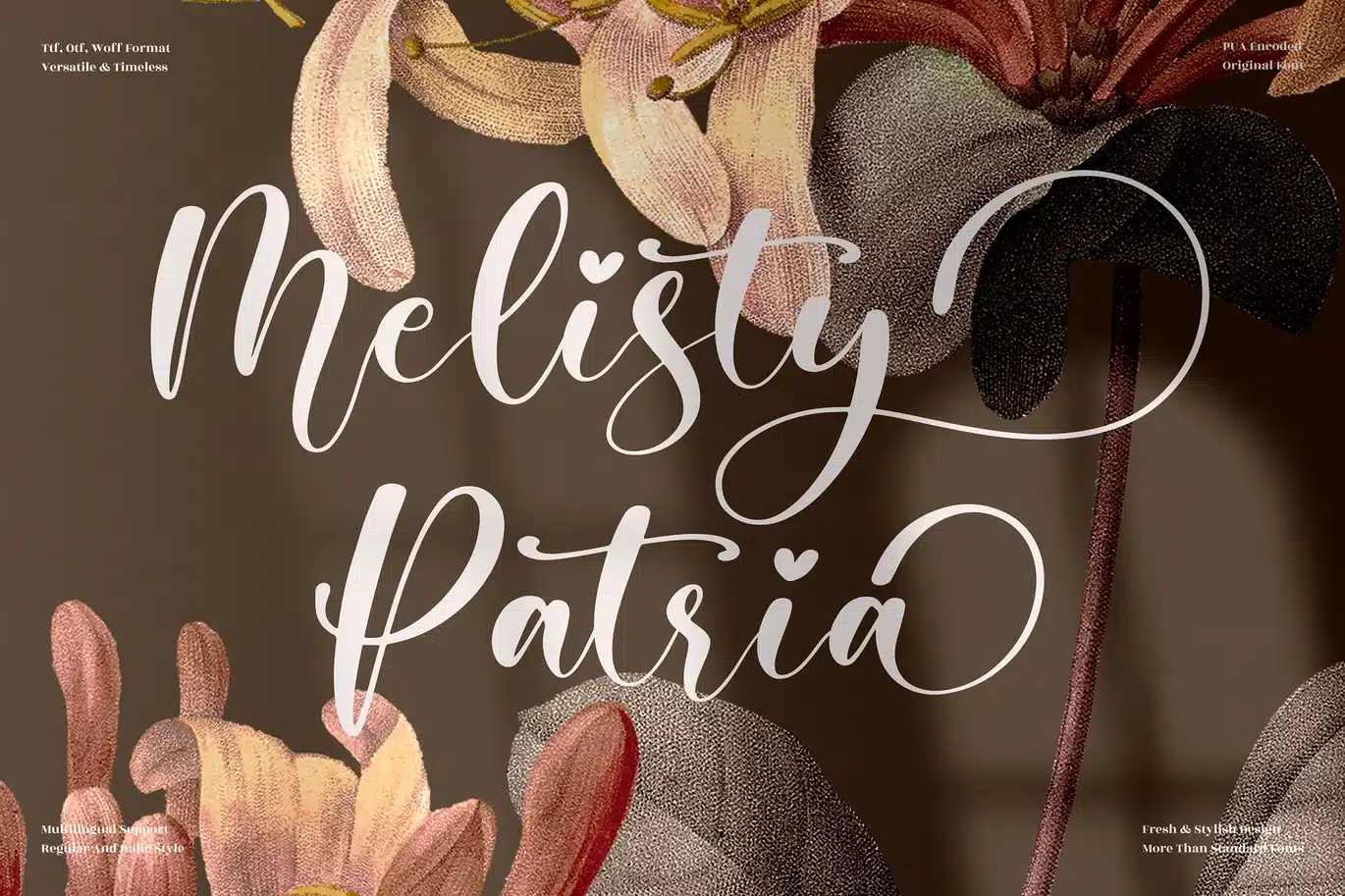 Melisty Patria Beautiful Script Font font preview