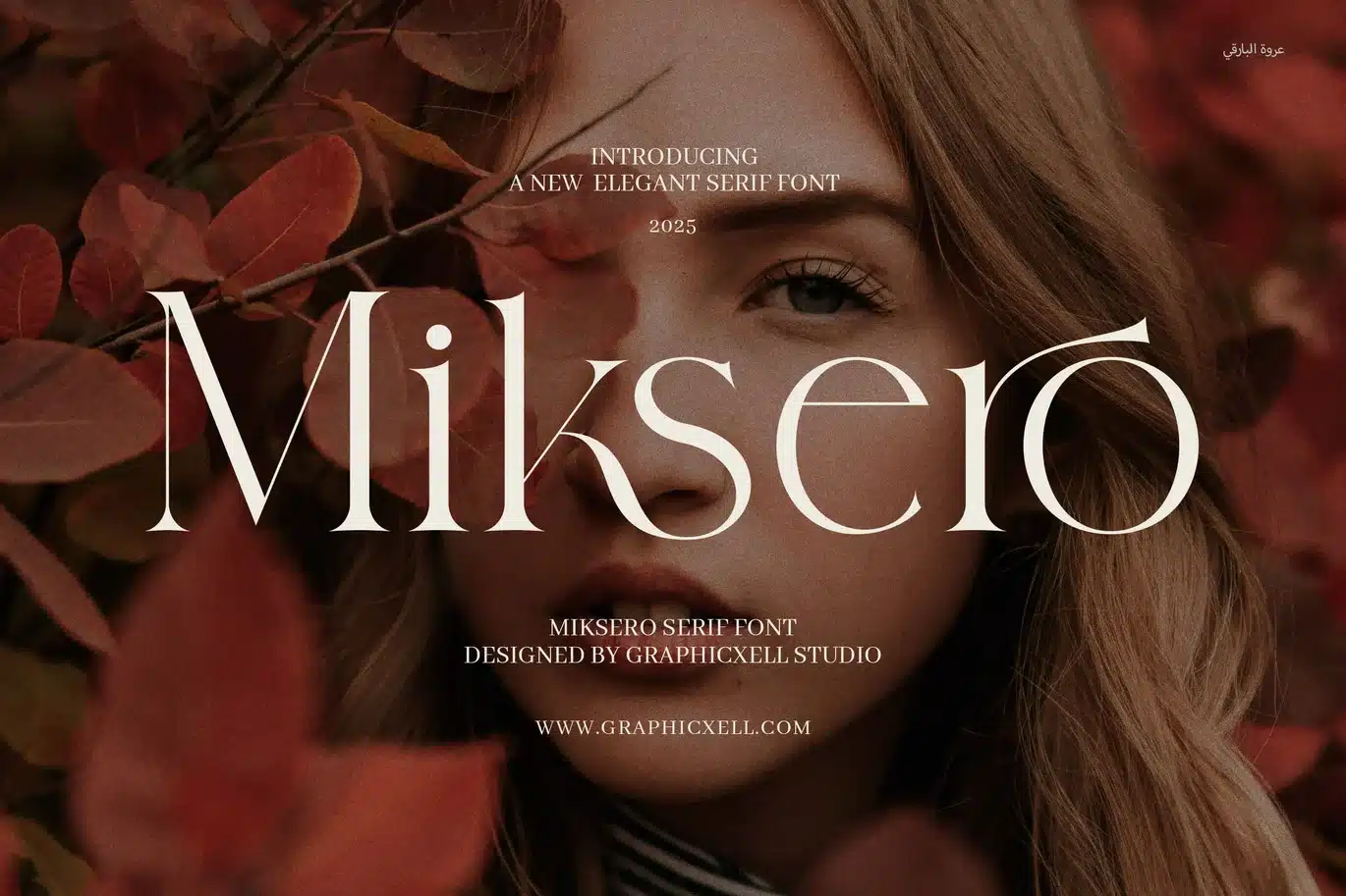 Miksero Elegant Serif Font font preview