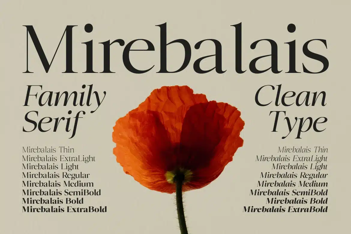 Mirebalais – Family Serif Font font preview