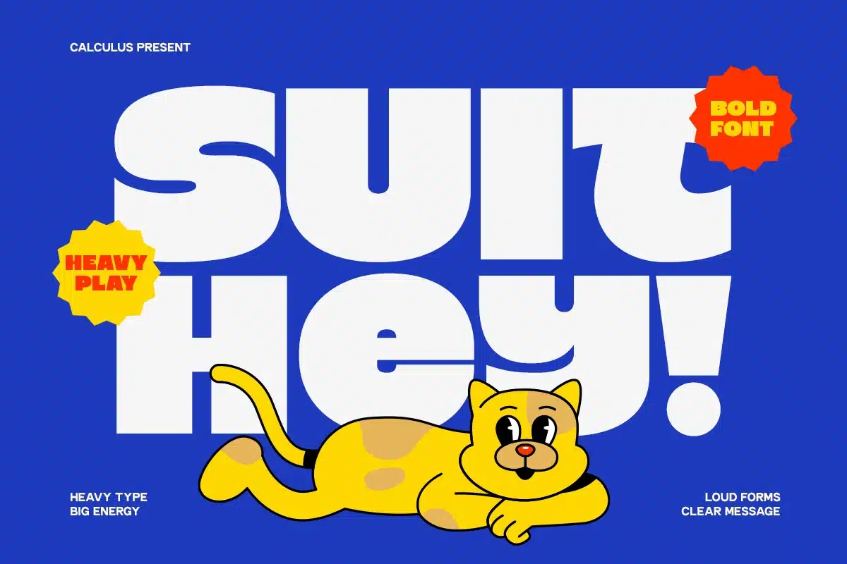 Modern Bold Display Sans – Suit Hey Font font preview