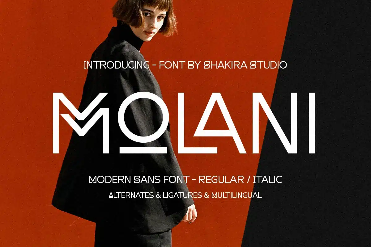Molani – Modern Sans Font font preview