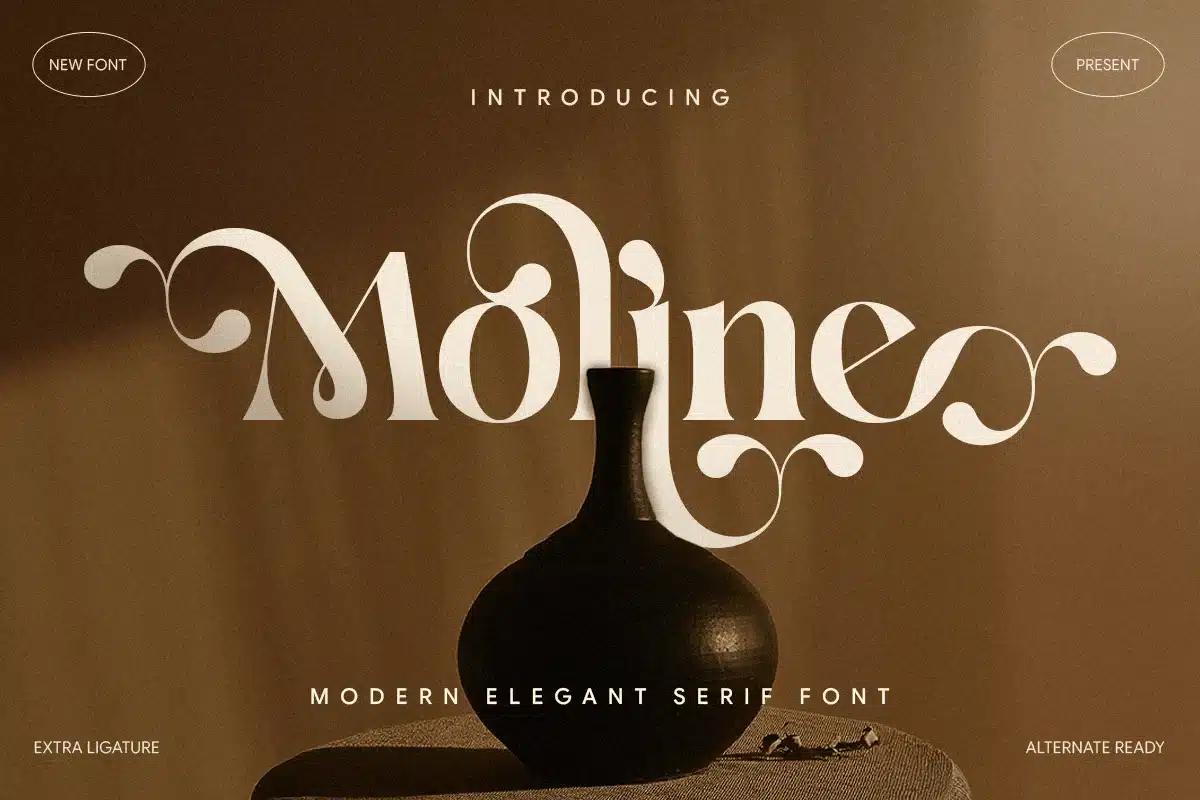 Moline – Feminine Elegant Serif Font font preview