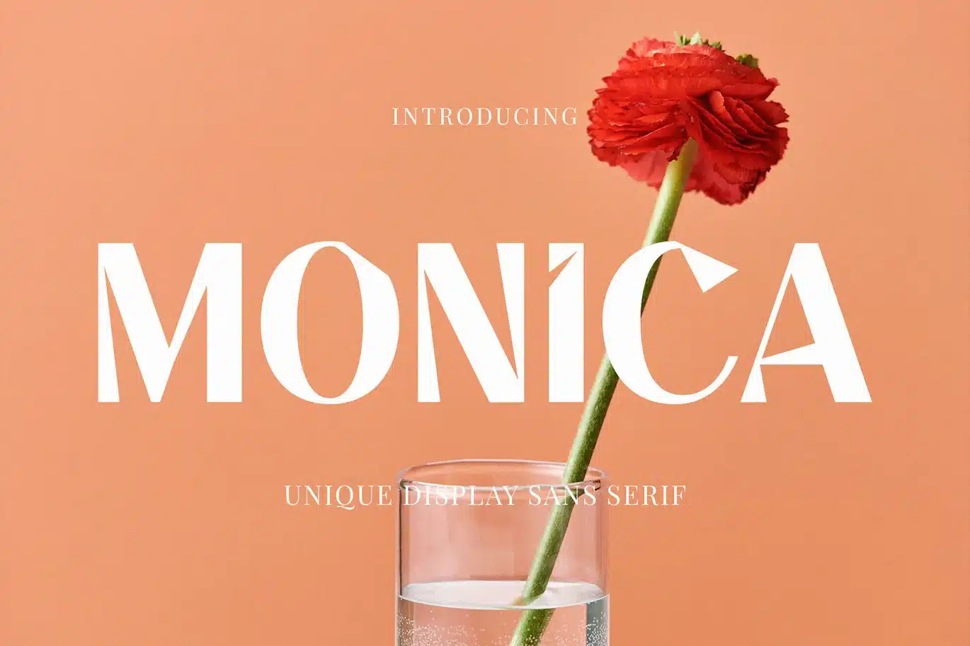 Monica – Unique Display Sans Serif Font font preview