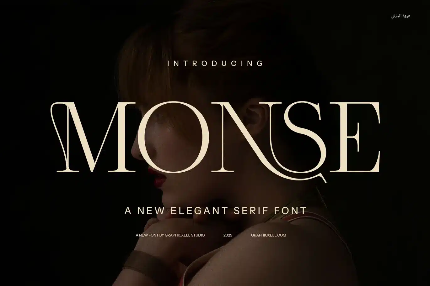 Monse Ligature Serif Font font preview