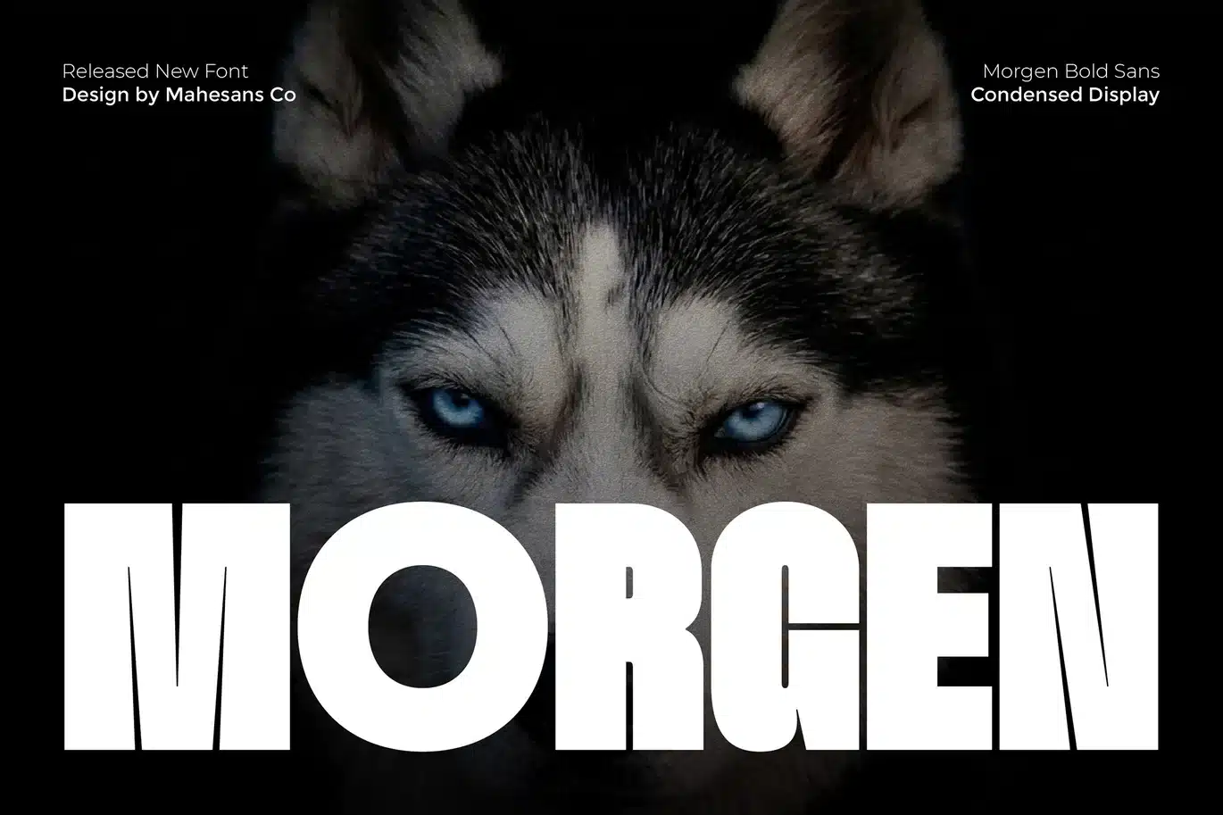 Morgen – Bold Condensed Display Font font preview