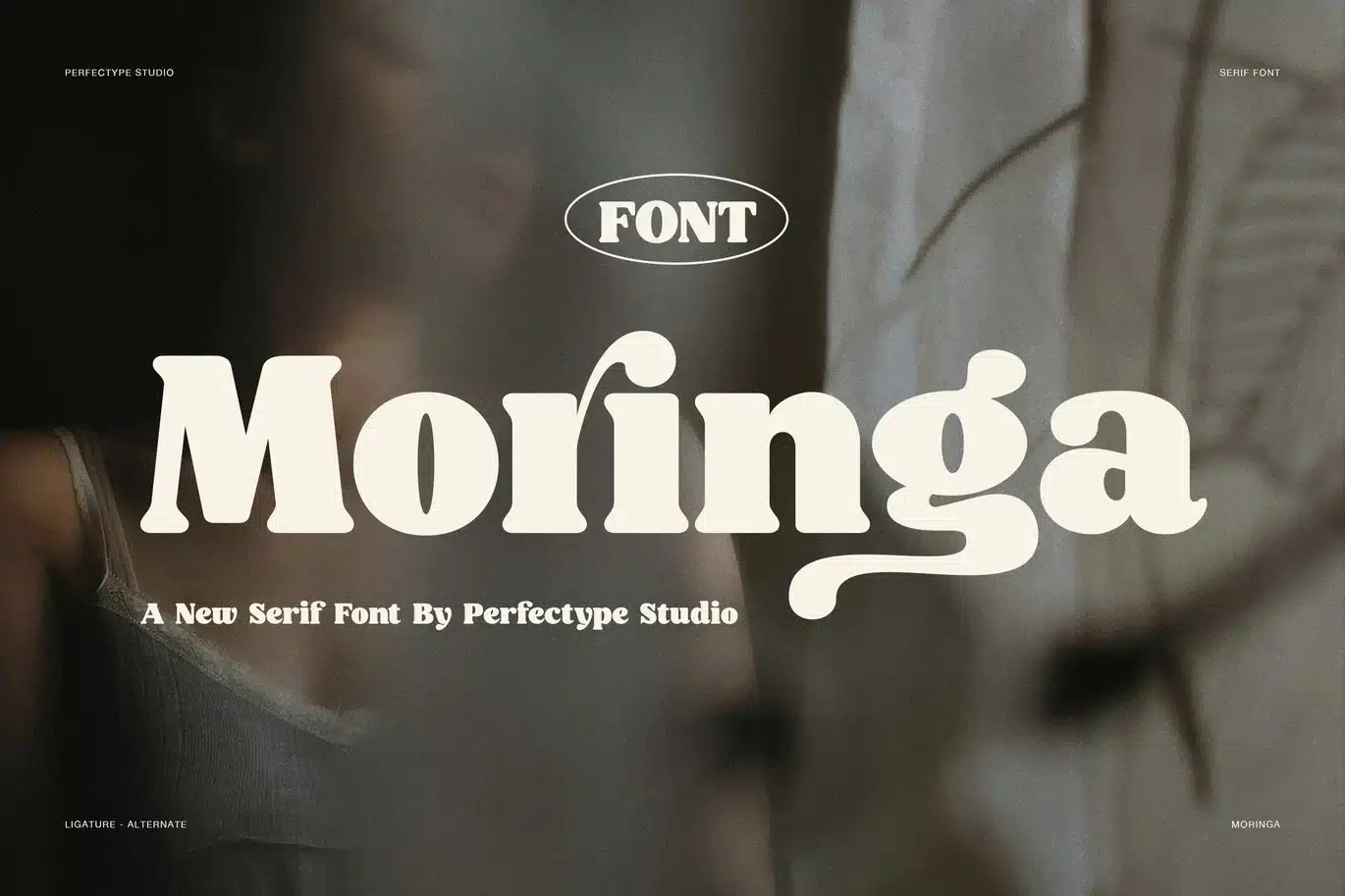 Moringa Bold Serif Font font preview