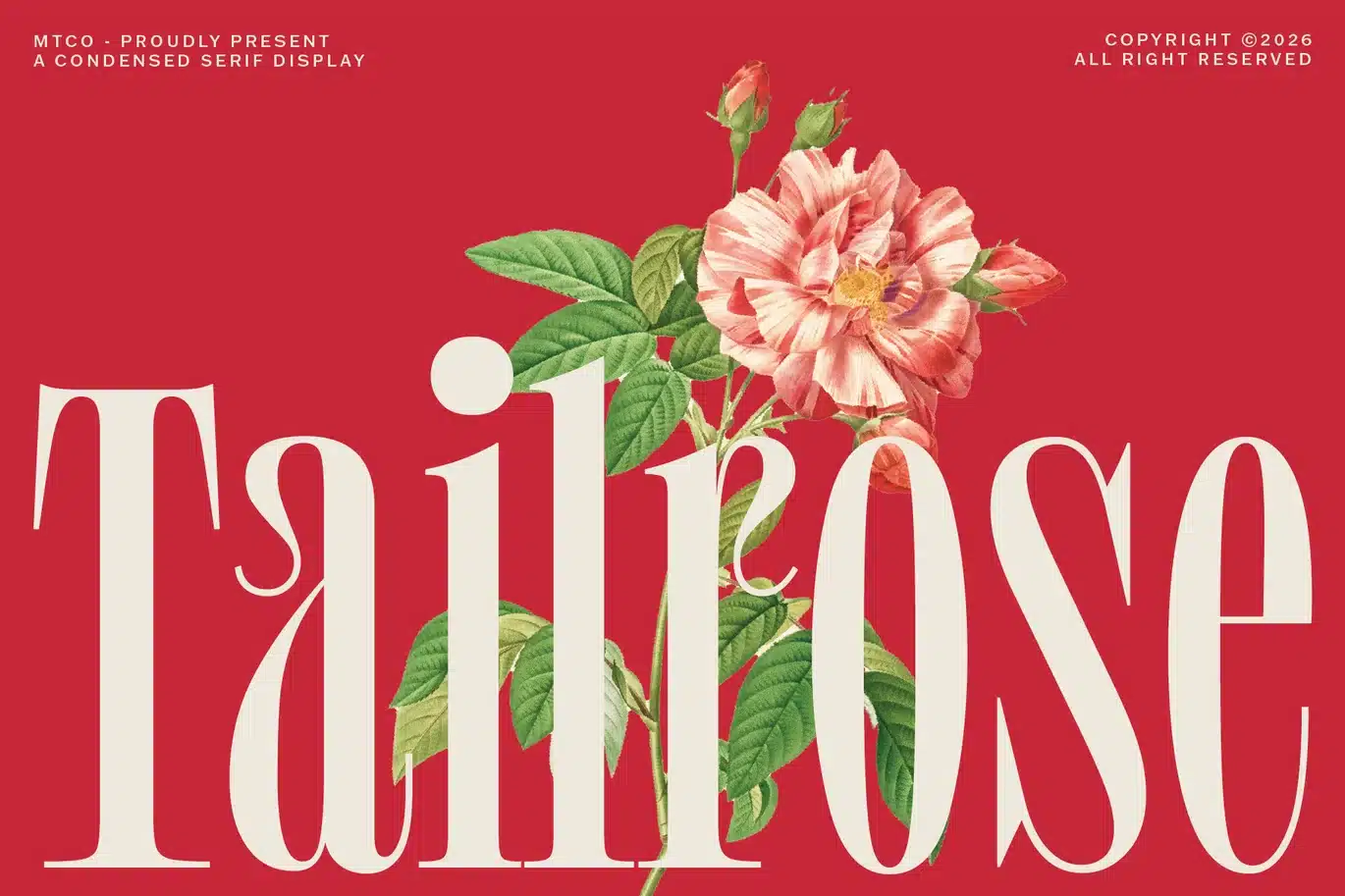 MTC Tailrose – Condesned Serif Display Font font preview