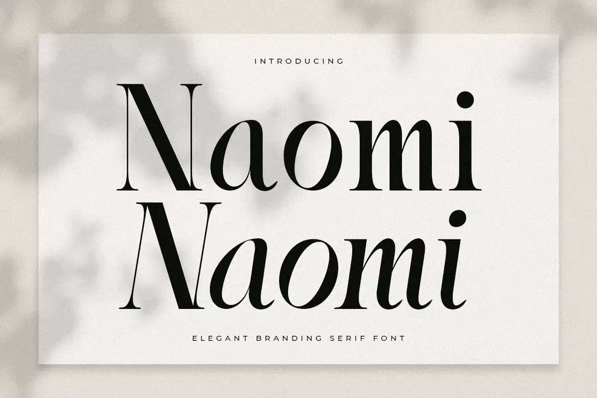 Naomi – Elegant Branding Serif Font font preview