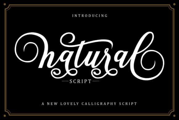 Natural Script Font font preview