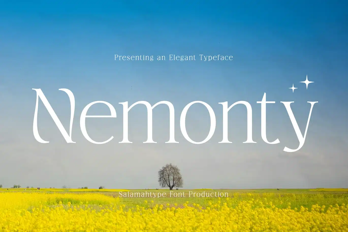 Nemonty – Minimalist Serif Font font preview