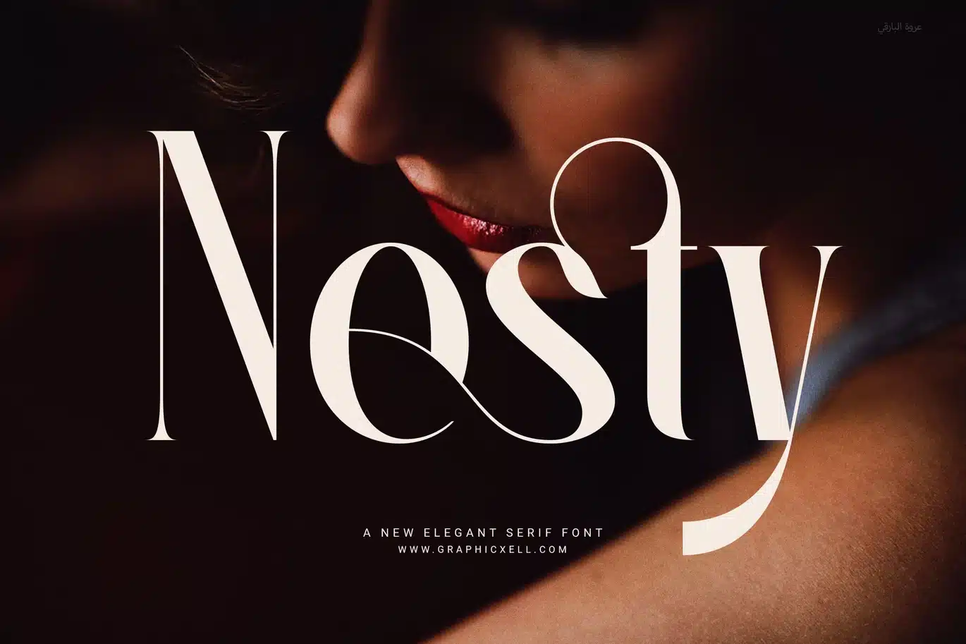 Nesty Serif – Elegant, Modern Serif Typeface Font font preview