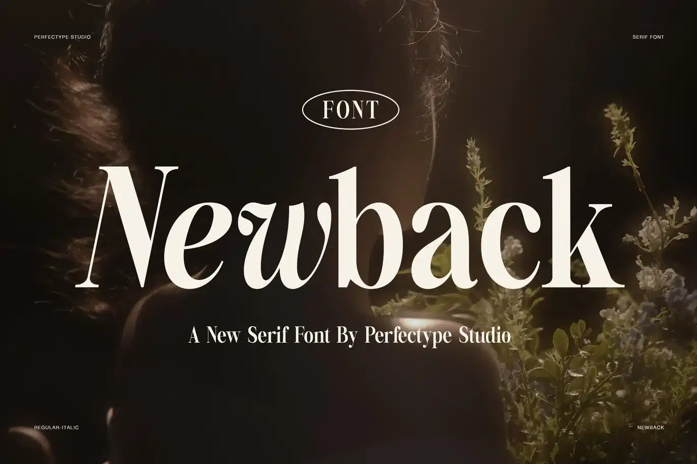 New Back Elegant Family Serif Font font preview