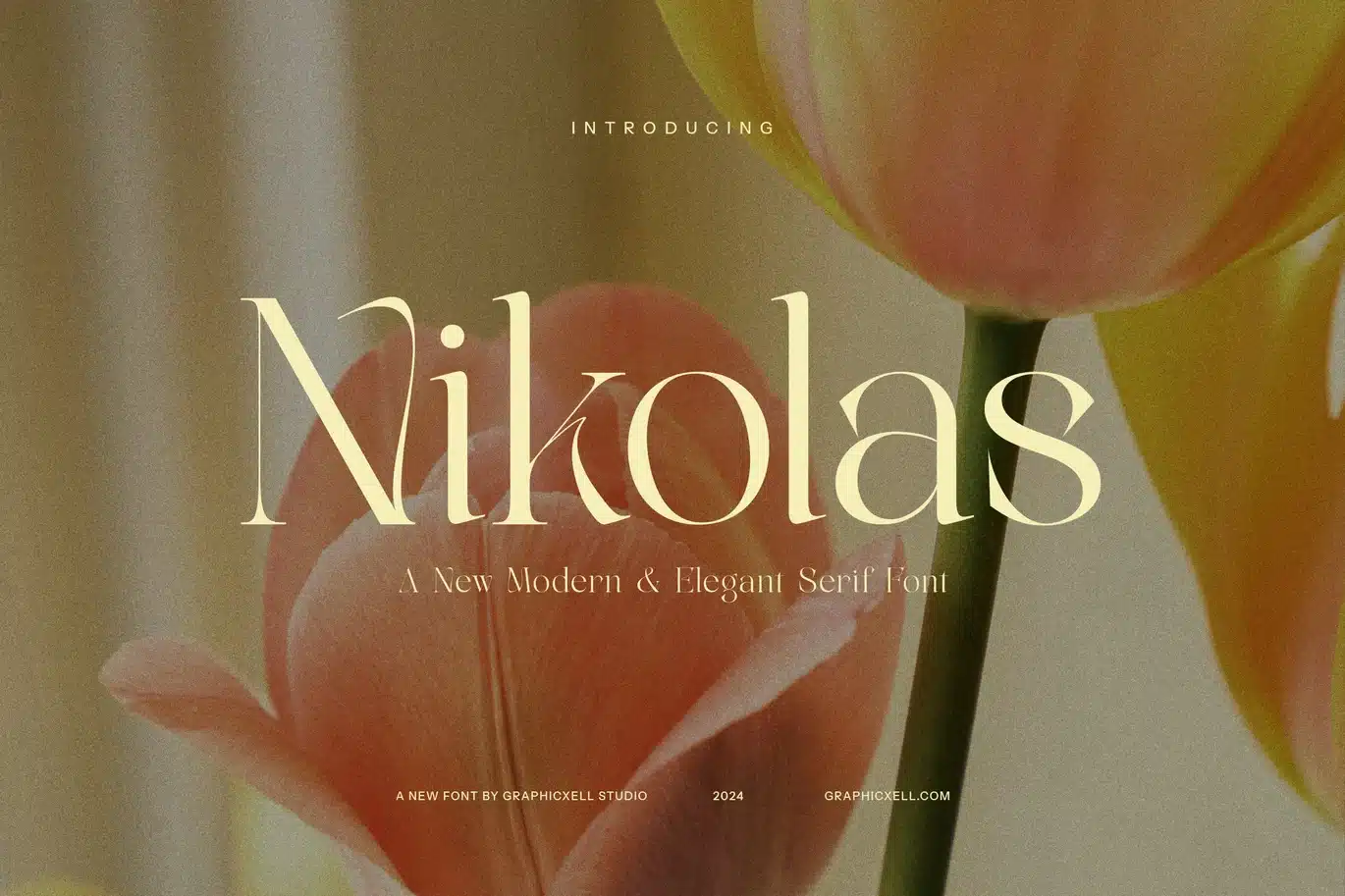 Nikolas Modern Serif Font font preview