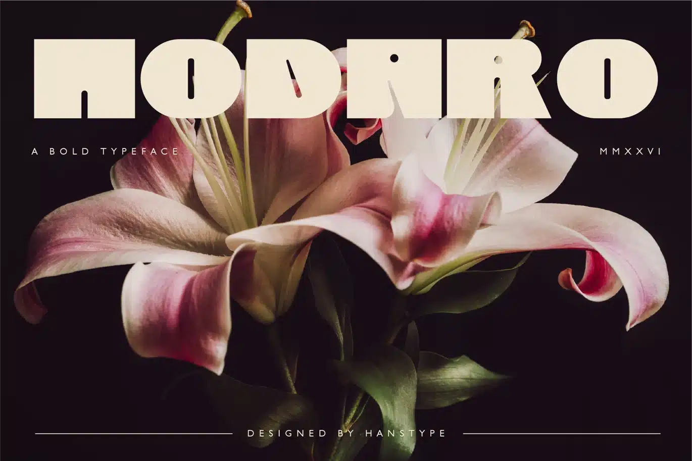 Nodaro – Bold Display Font font preview