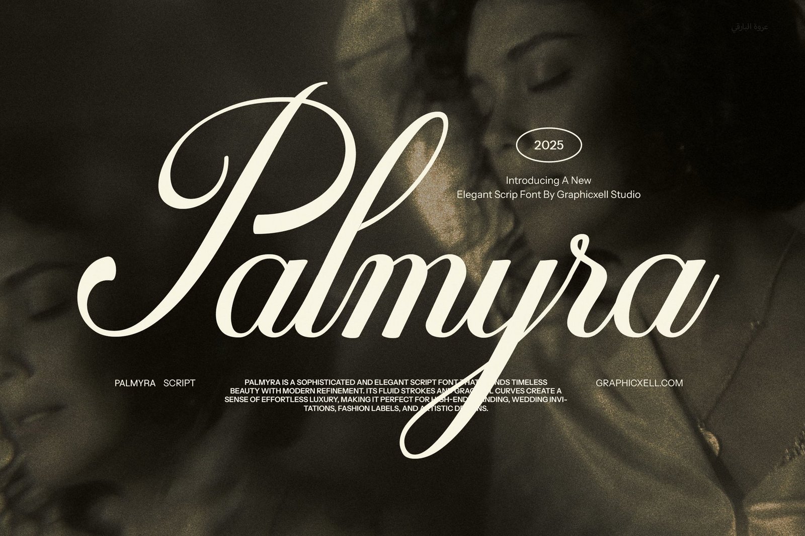 Palmyra Elegant Script Font font preview