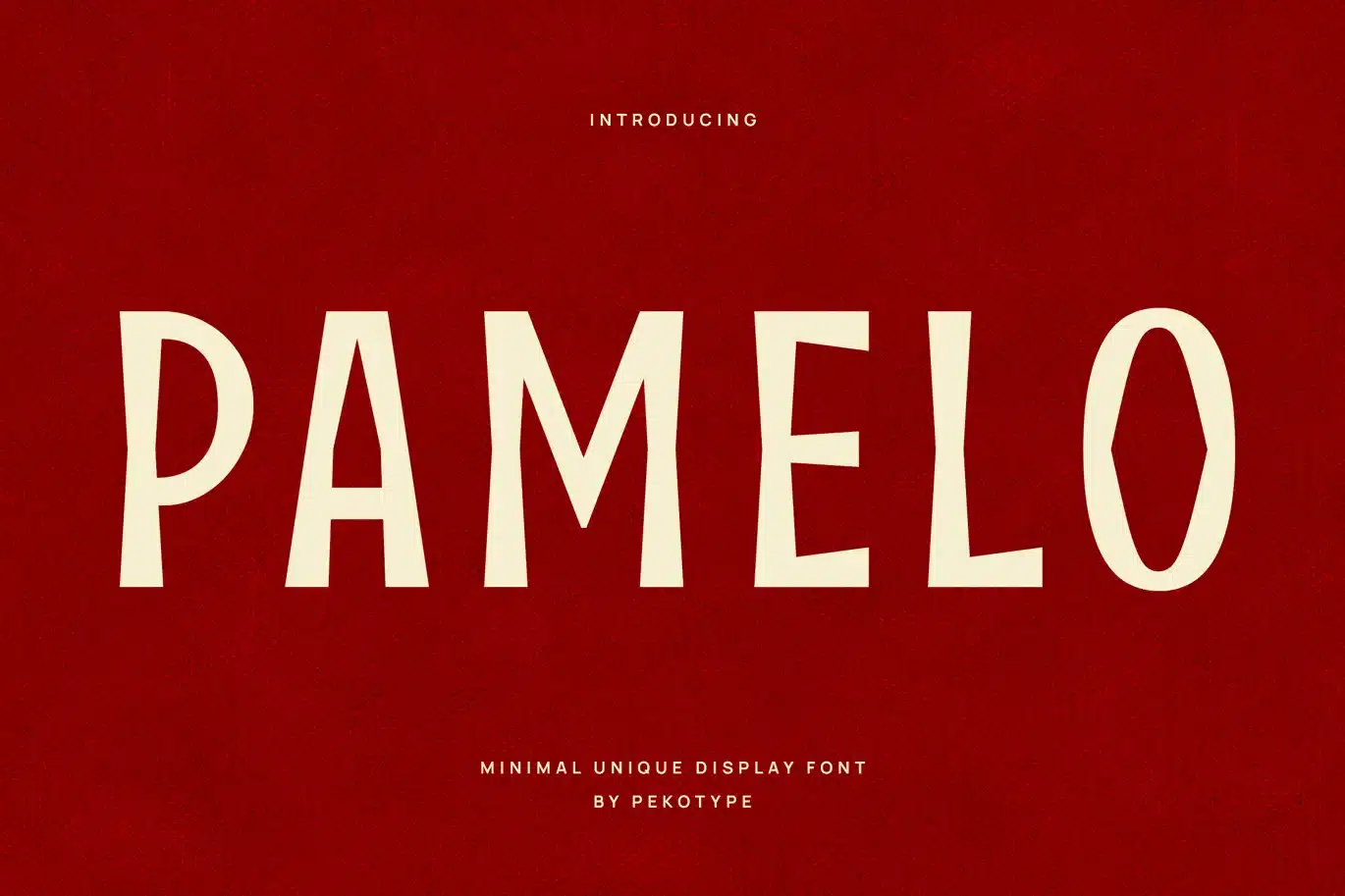 Pamelo – Minimalist Modern Logo Font font preview