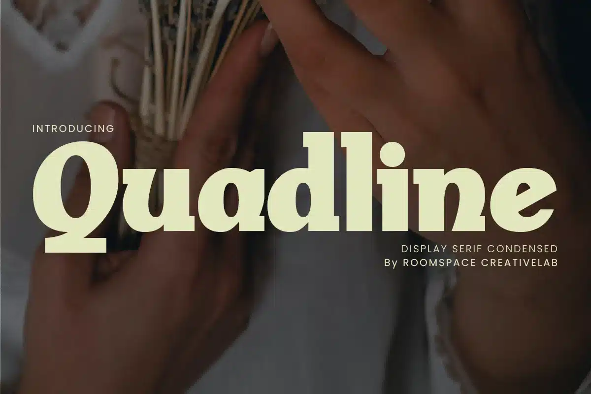 Quadline – Display Serif Retro Modern Logo & Brand Font font preview