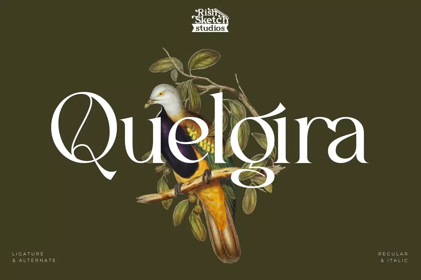Quelgira Font font preview