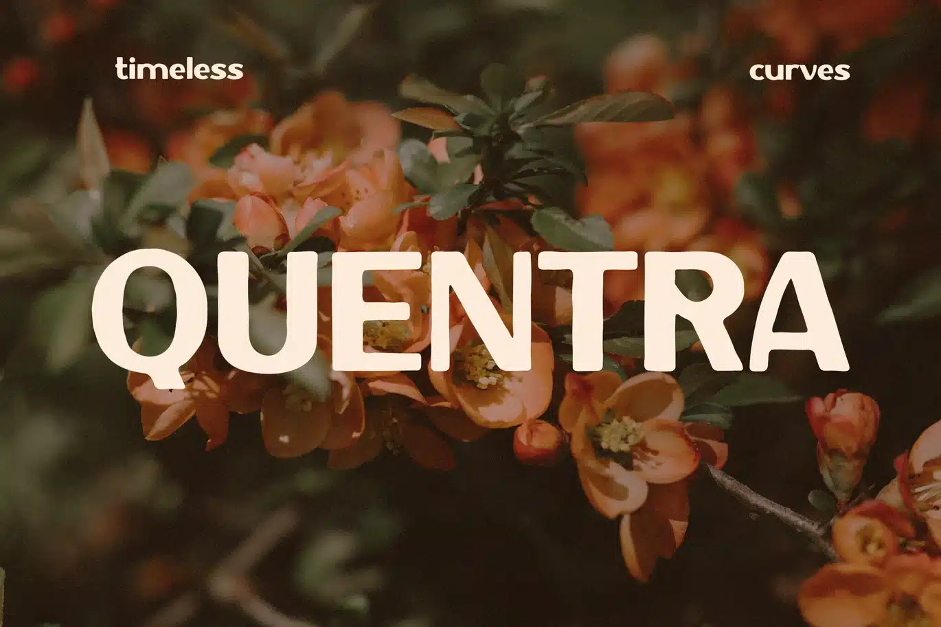 Quentra – Modern Retro Display Font font preview