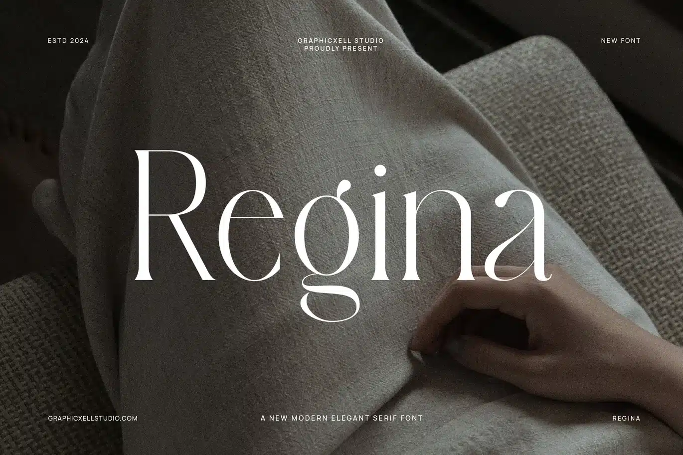 Regina Modern Serif Font font preview