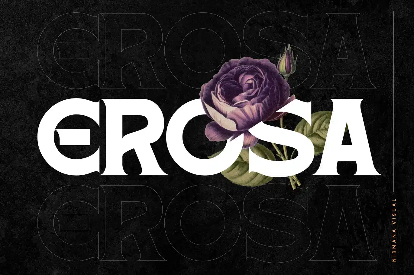 Retro Erosa – Modern Logo Font font preview